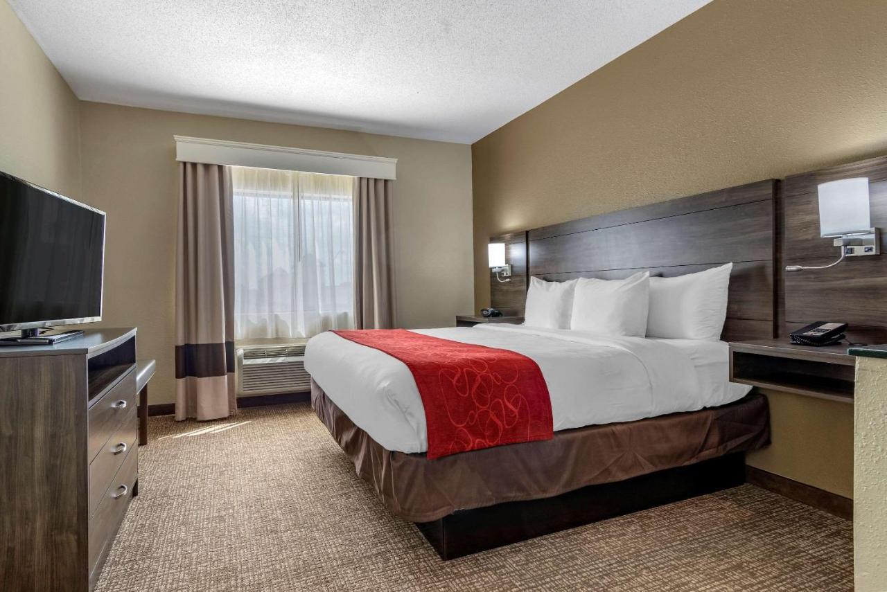 Comfort Suites Near Robins Air Force Base Warner Robins Esterno foto